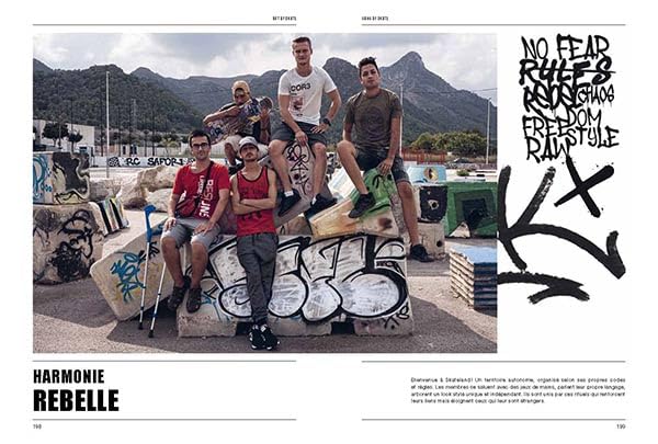 Art of Skate: Histoire(s) d'une culture urbaine