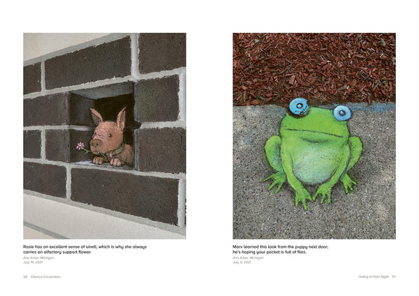 Chance Encounters: Temporary Street Art by David Zinn