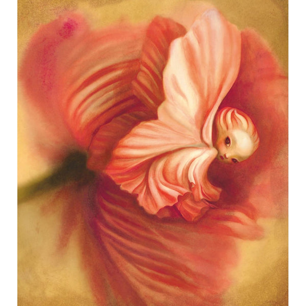 Benjamin Lacombe - art book Curiosities (First edition with ex-libris)