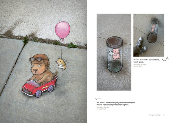 Chance Encounters: Temporary Street Art by David Zinn