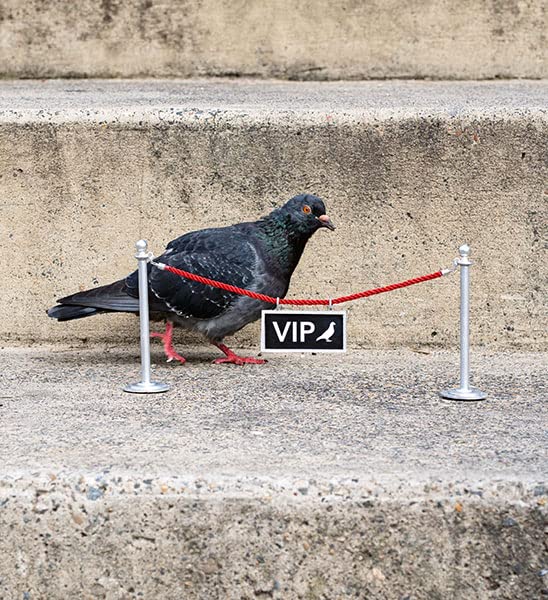 Urban laughter: When street art makes humor