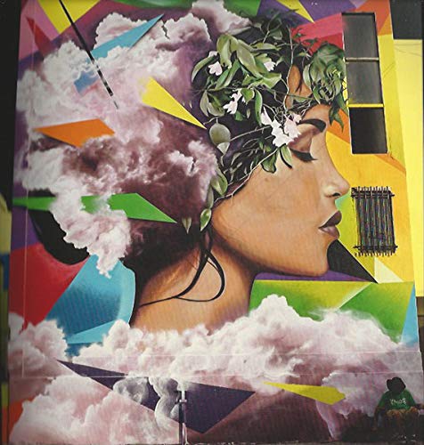 Street art Africa - Cale Waddacor