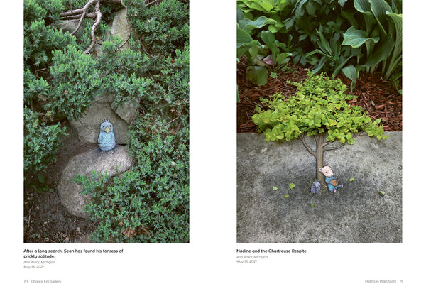 Chance Encounters: Temporary Street Art by David Zinn