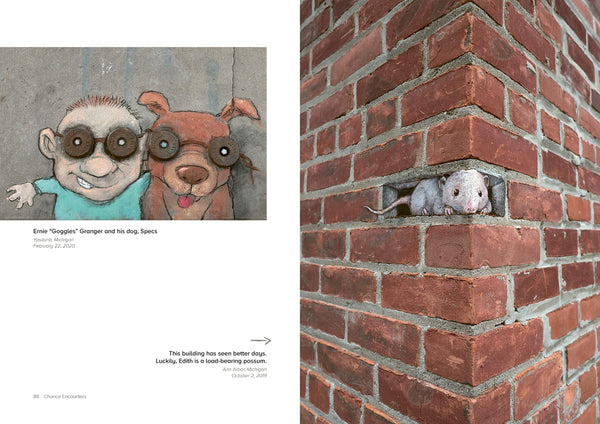Chance Encounters: Temporary Street Art by David Zinn