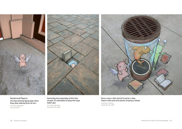 Chance Encounters: Temporary Street Art by David Zinn