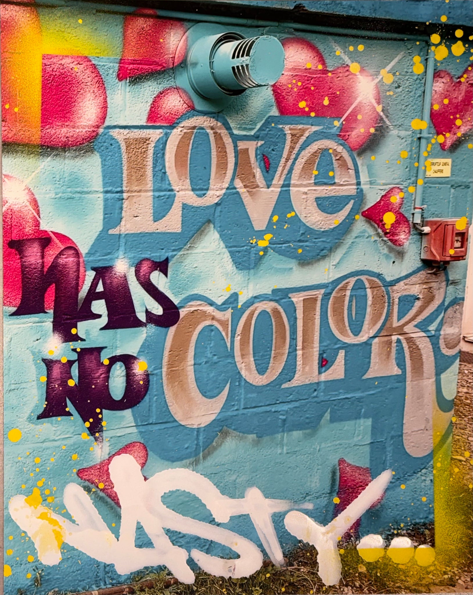NASTY - Love has no color (40x50)
