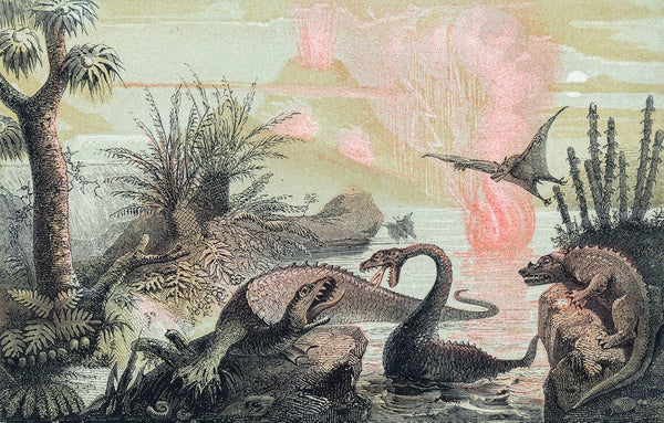 Dinosaurs are collectible
