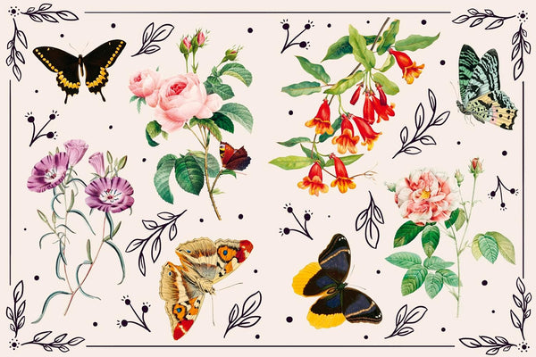 Extraordinary Things Sticker Book