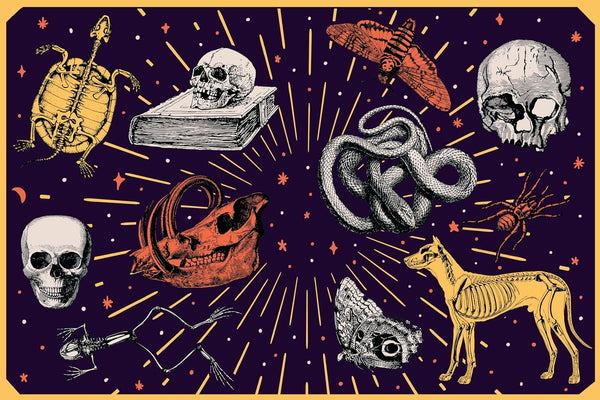 Extraordinary Things Sticker Book