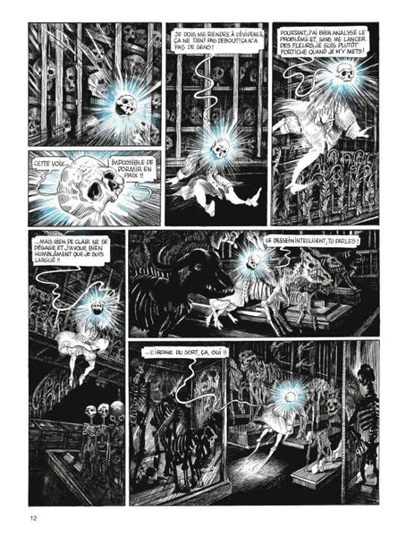 La tête de mort venue de Suède - Daria Schmitt