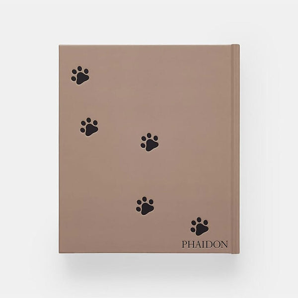 CHAT - Phaidon