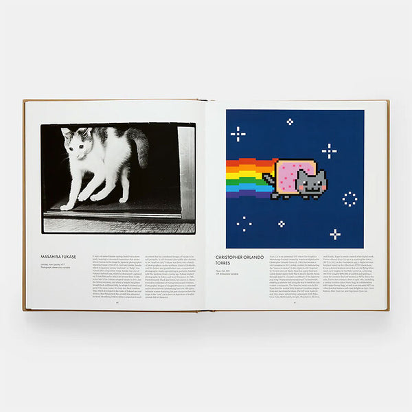 CHAT - Phaidon